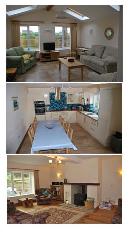 buffers end collage picture