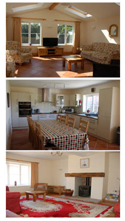 sleepers collage picture