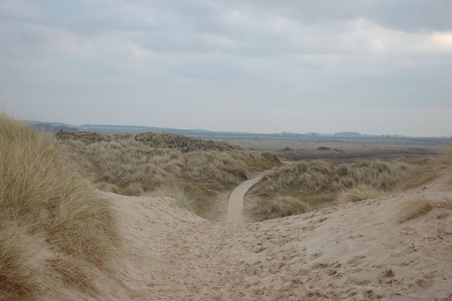 Path from Staithe to the dunes